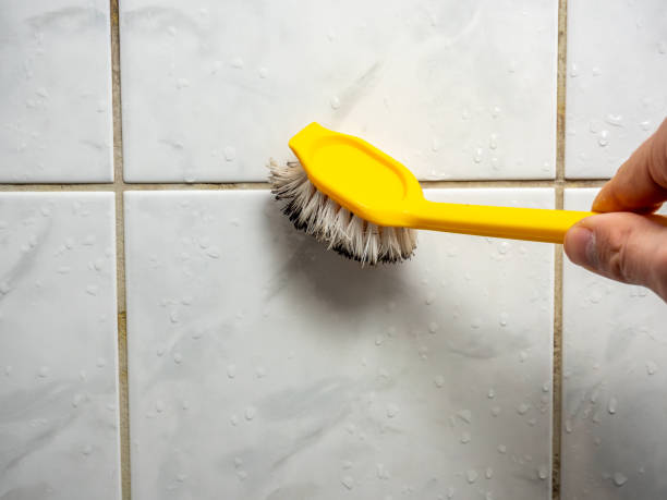 Best Commercial Mold Remediation in West Bishop, CA