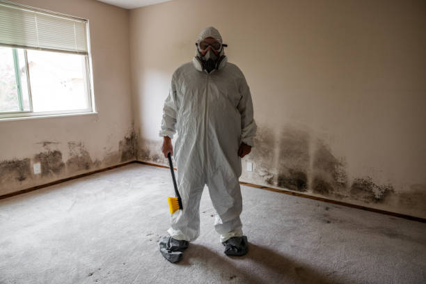 Best HVAC Mold Remediation in West Bishop, CA